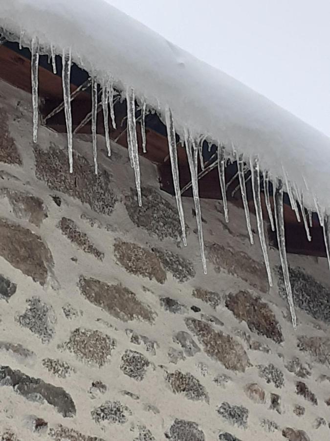 Auverg'Nature Chambre Cocon Espinasse Exteriör bild