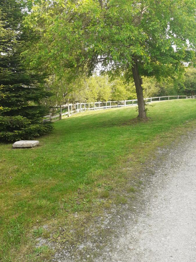 Auverg'Nature Chambre Cocon Espinasse Exteriör bild